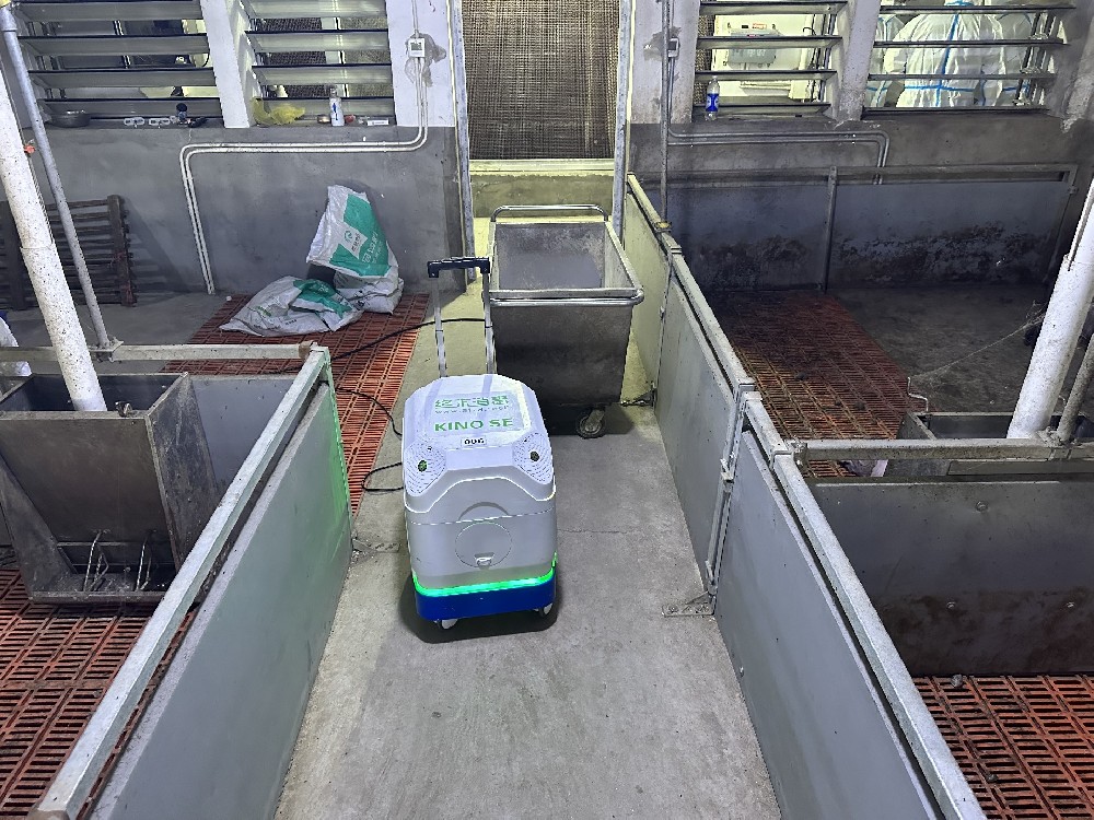 Pig farm disinfection service