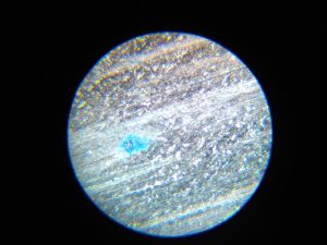 Biofilm Removal Service
