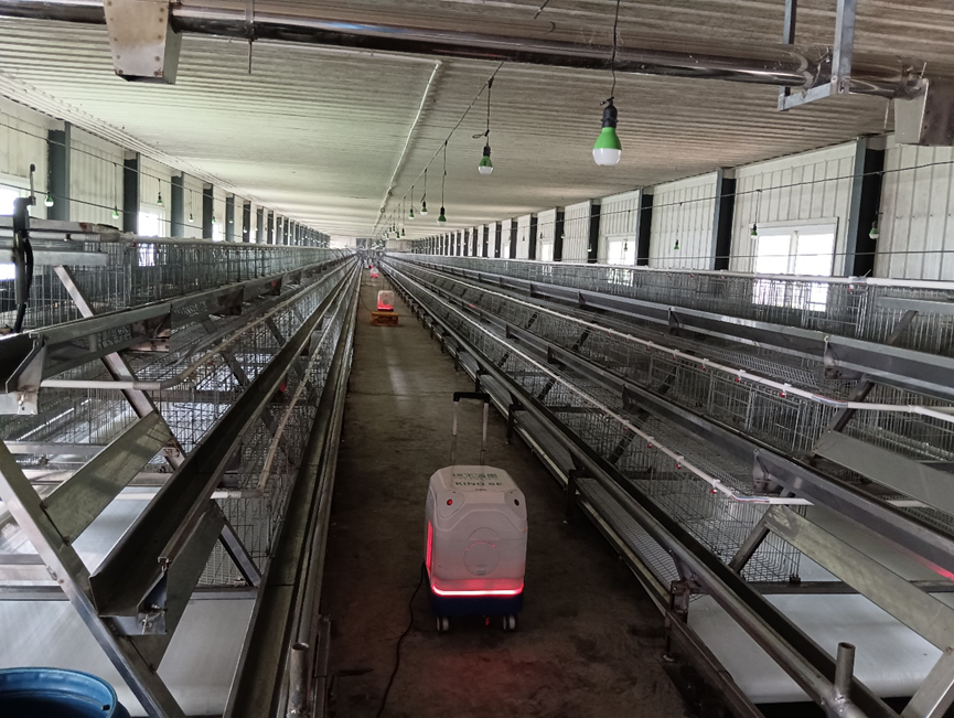 Poultry Farm Marek’s Disease Infection Decontamination Service Case