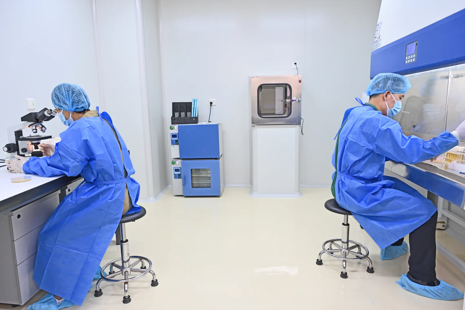 Two staff members working at microscopy and laboratory cabinet stations in VanTsteri's microbiology laboratory